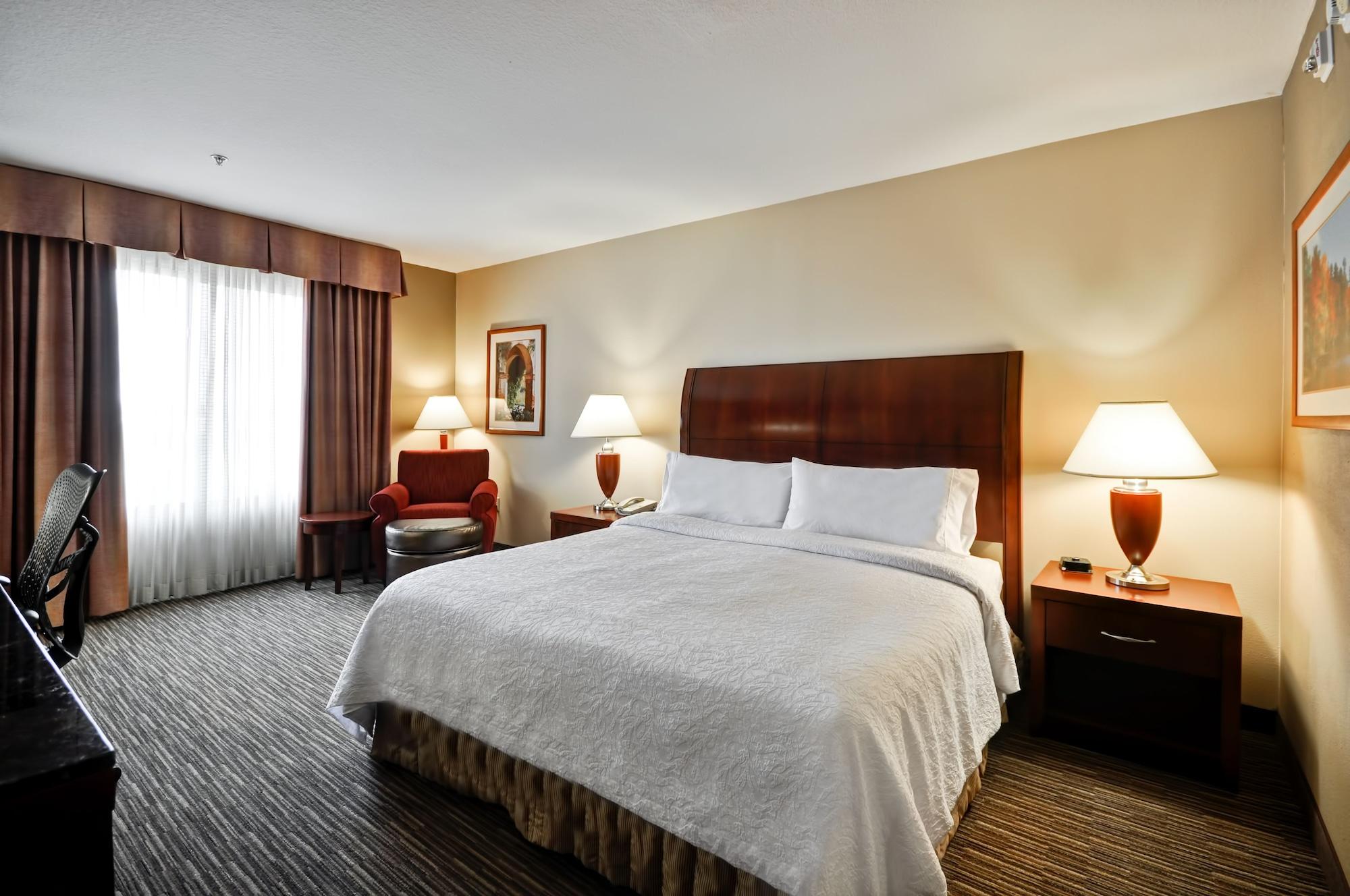 Hilton Garden Inn Tampa Northwest/Oldsmar Exterior photo