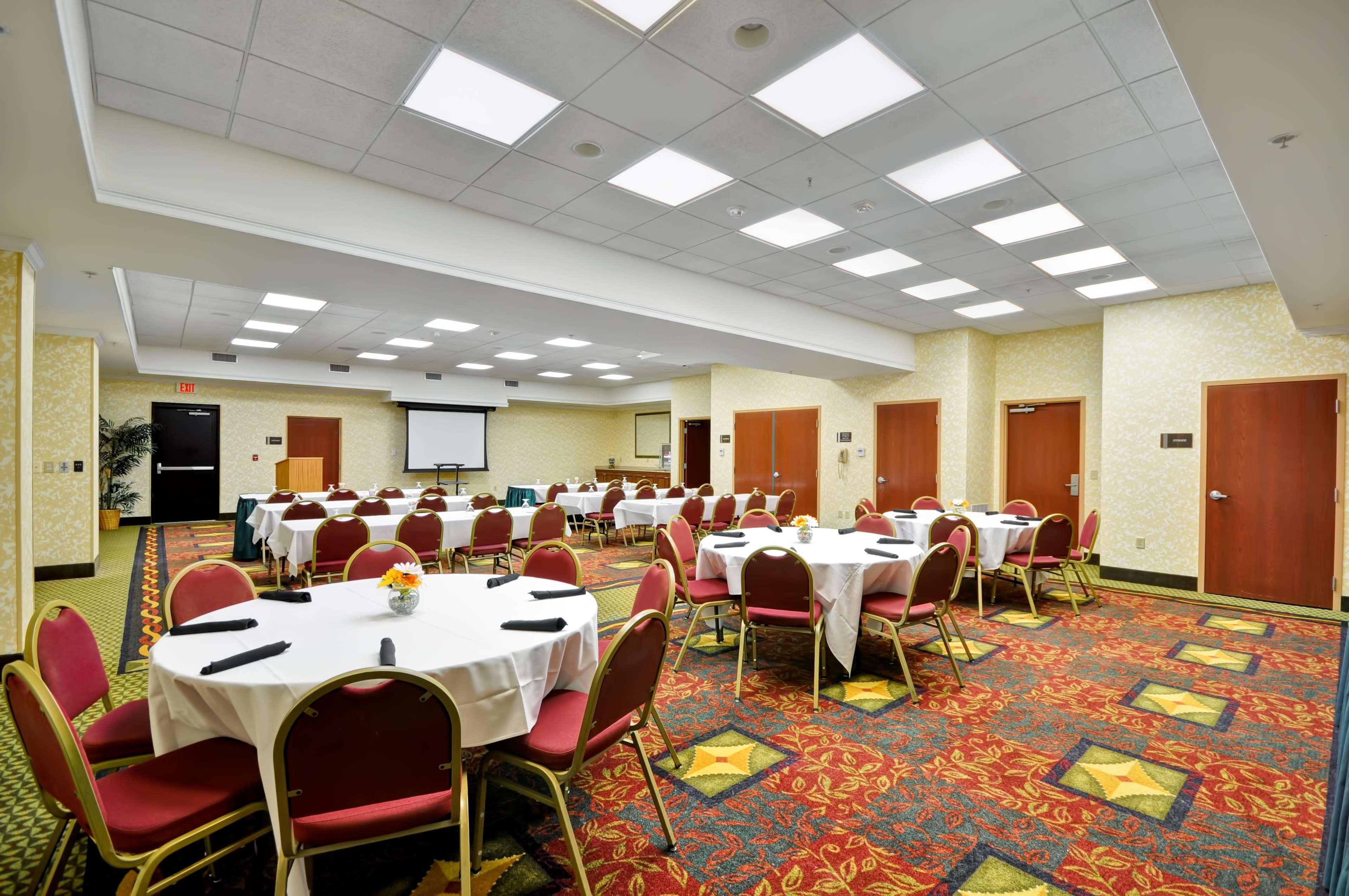 Hilton Garden Inn Tampa Northwest/Oldsmar Exterior photo