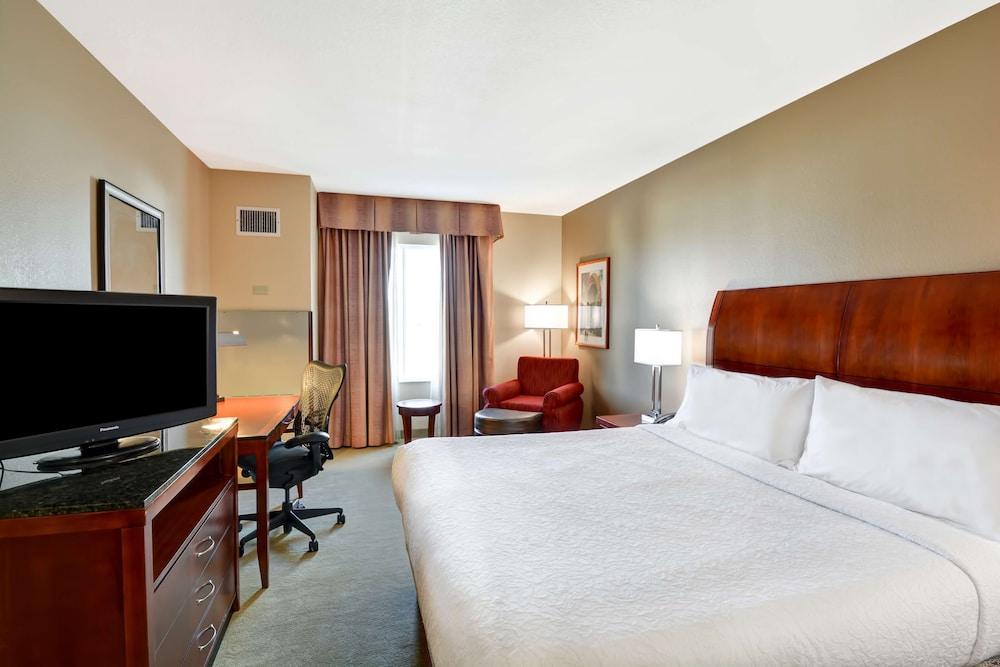 Hilton Garden Inn Tampa Northwest/Oldsmar Exterior photo