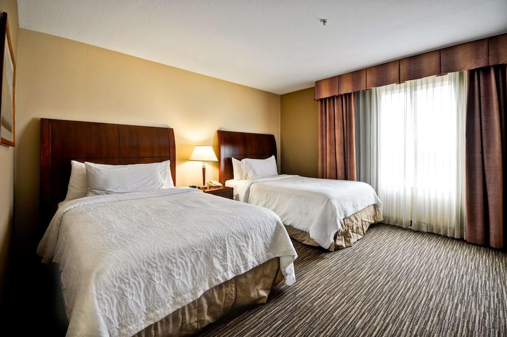 Hilton Garden Inn Tampa Northwest/Oldsmar Exterior photo