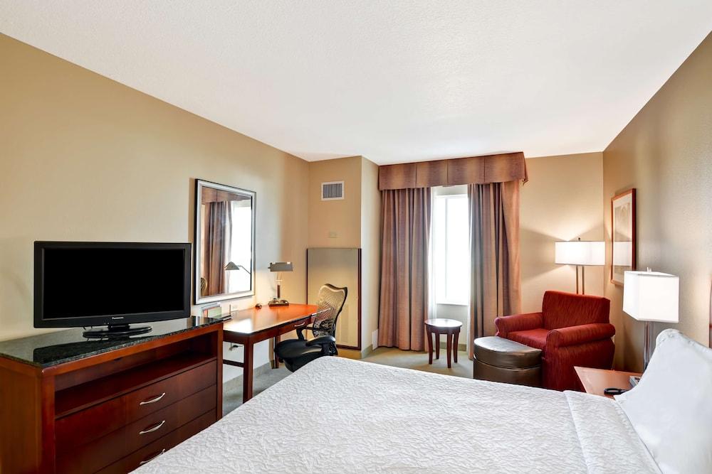 Hilton Garden Inn Tampa Northwest/Oldsmar Exterior photo
